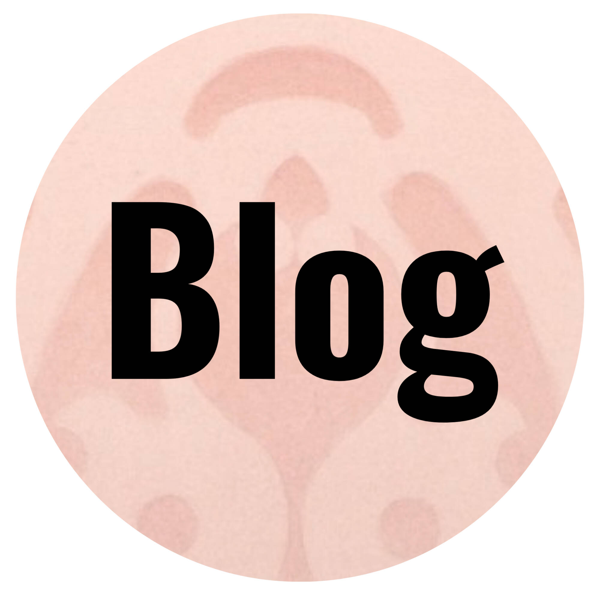 Click to read hte blog "From Fruit to Color: The History of Orange"